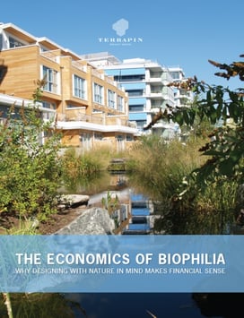 eob_cover_2015-web-530x693.jpg